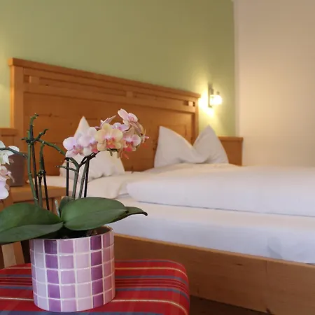 藤原纪香膳食公寓 3* 萨尔巴赫